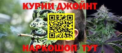 СК Гатчина