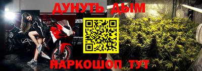 СК Гатчина