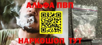 СК Гатчина